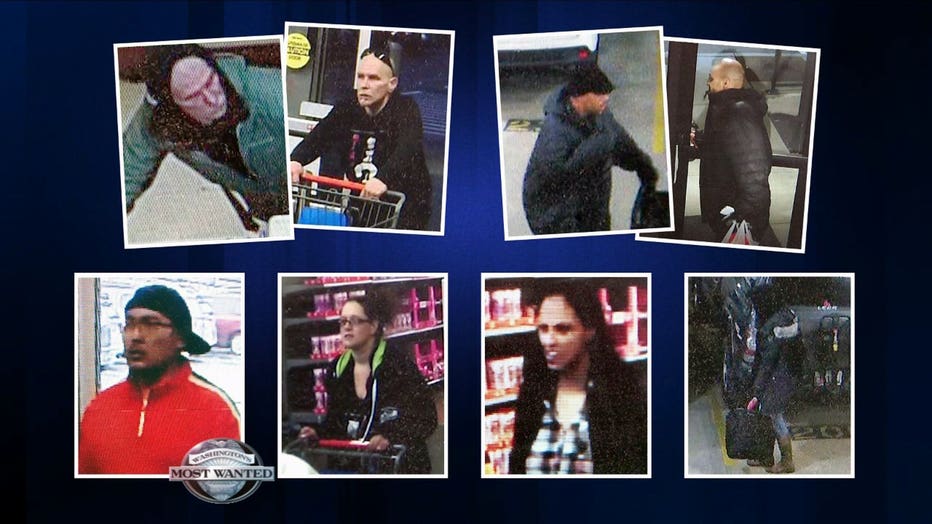 Bainbridge Island suspects