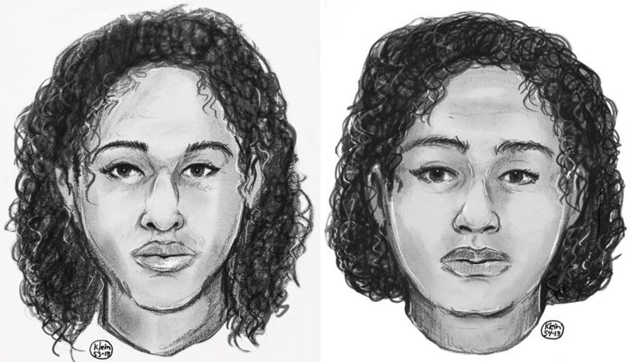 Police released a sketch of the two women found laying on rocks near the Hudson River off of Riverside Park. (DCPI)