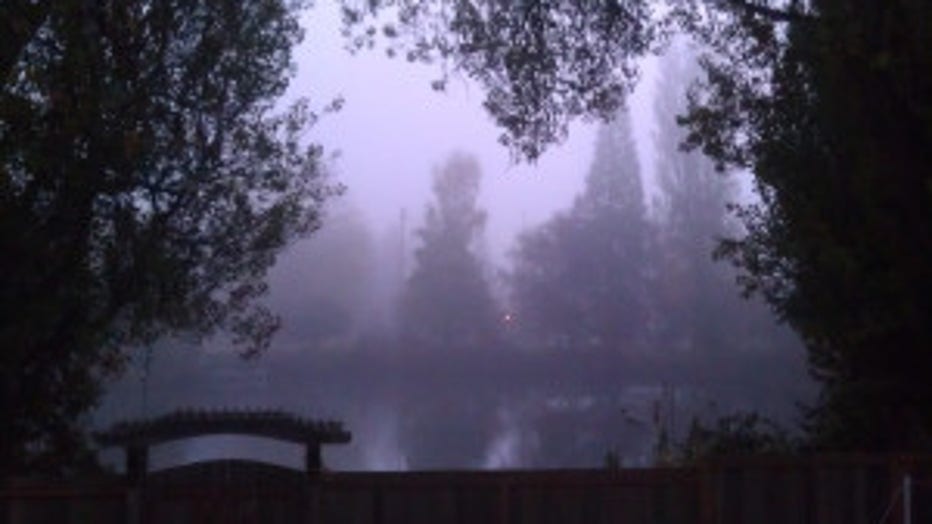 FogShoreline