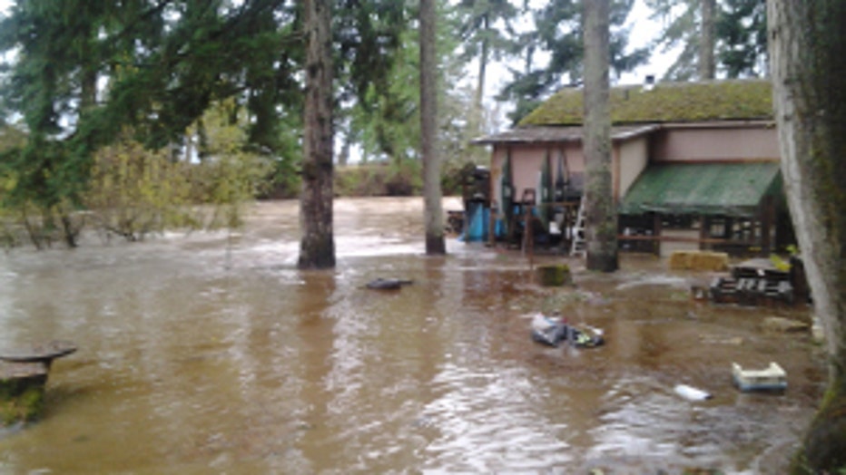 Yelm backyard river