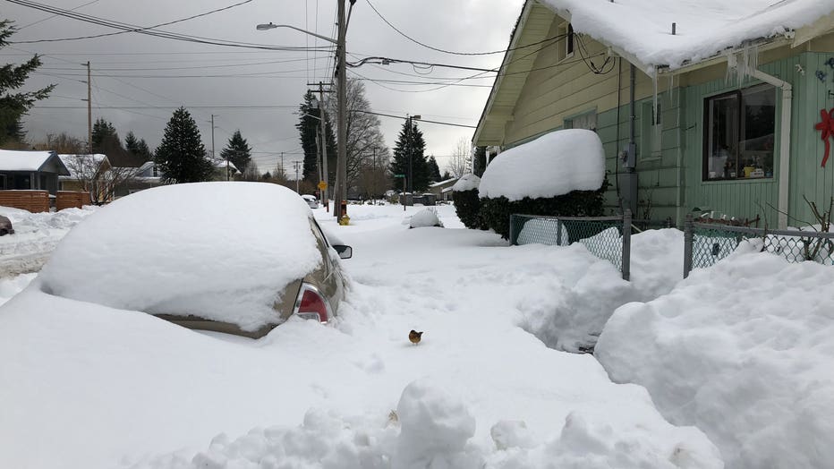 car covered in snow in north bend