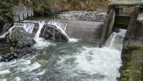Washington river dam demolished to open miles of salmon habitat