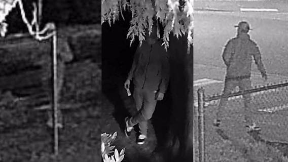 Suspect sought for removing Black Lives Matter sign, replacing with hate group's stickers in Lacey