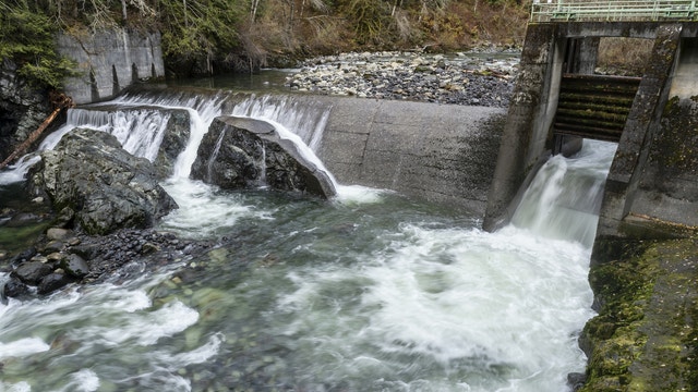 Washington river dam demolished to open miles of salmon habitat