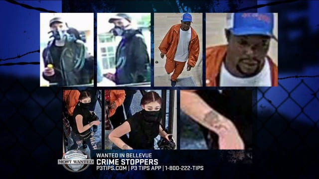 Bellevue Police seek public's help to ID looting suspects and arsonist who torched truck