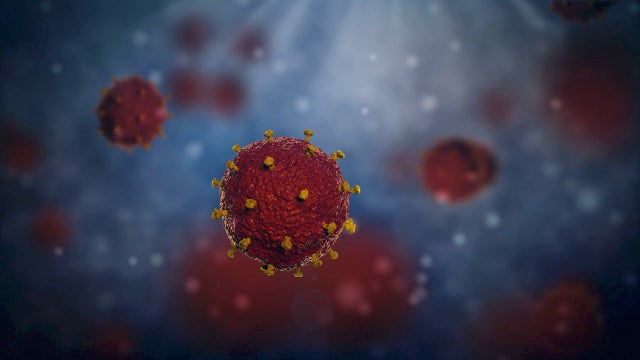 Health officials warn of coronavirus transmission at a critical moment