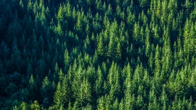 Pierce Co. conservation group blazes trail to fight climate change, help local ecology