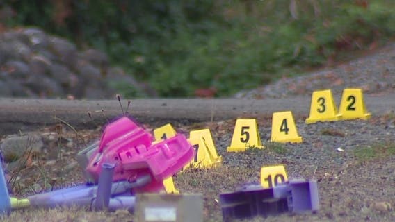 Two children injured in Kent hit-and-run, driver arrested for suspected DUI