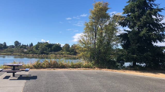 Police: Man found dead in Everett park after reports of shooting