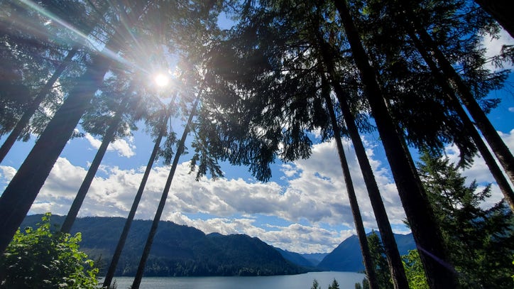 lake cushman trails