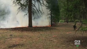 Washington twice failed to pass dedicated funding for forest management