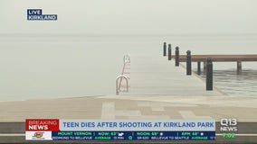 Suspects sought in shooting death of teen at popular Kirkland park