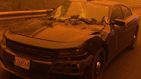 Oregon wildfires cause fire-damaged tree to fall on state trooper's vehicle