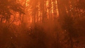 Officials squash rumors of far right, far left setting fires