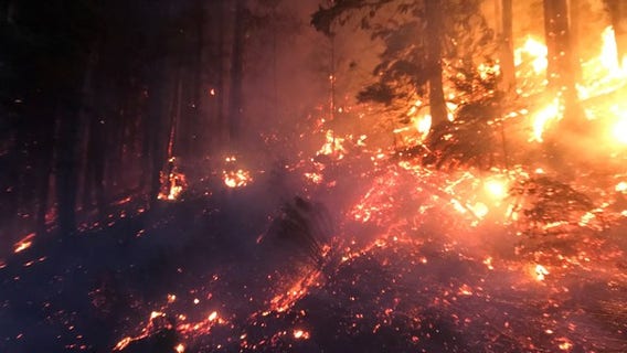 Brandi Kruse: Crisis reveals how shallow our divides truly are