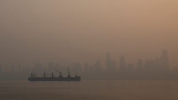 Kids, pets more at risk with smoke exposure