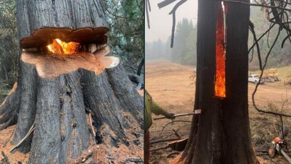 Sumner Grade Fire largely contained, several Washington wildfires persist