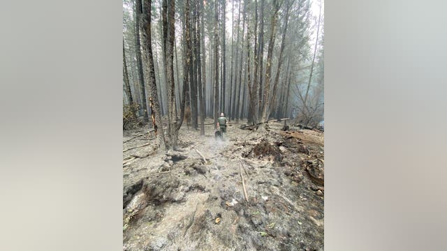 Deputies make 21 arrests in Oregon wildfire evacuation zones