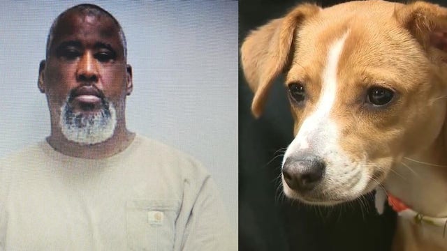 Police arrest suspect accused of throwing puppy across parking lot