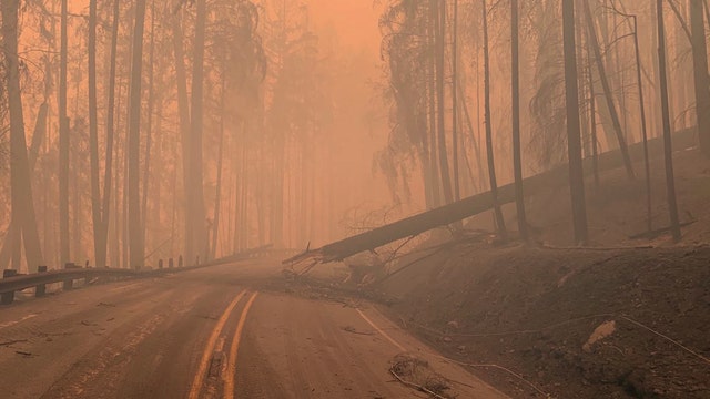 Nine people have died in Oregon wildfires