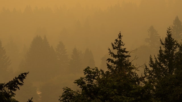 Alaska Airlines suspends flights to Portland, Spokane