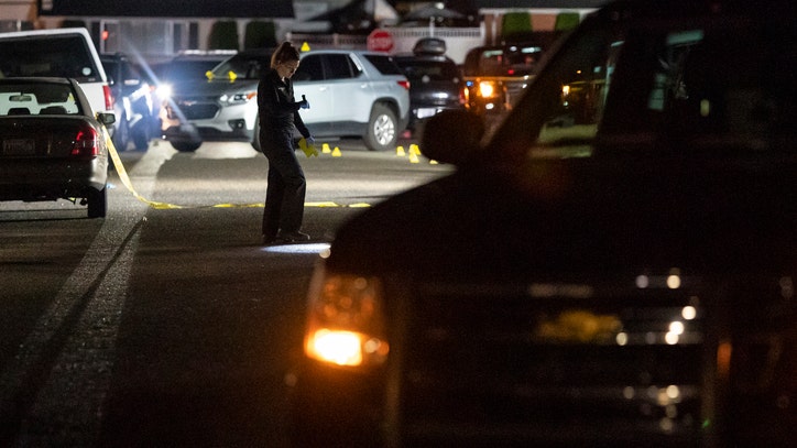 Review: Suspect in Portland protest killing likely fired at police before being fatally shot - Vimarsana News