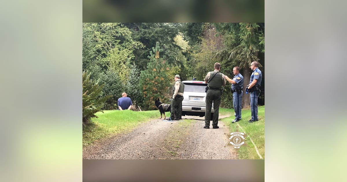 1 arrested after pursuit, crash in Kitsap County | FOX 13 Seattle