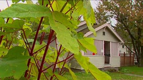 What's on the ballot in south King County? Property ownership amendment