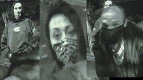 Help ID crew of crooks seen breaking into ATM, stealing from apartment parking garage on Bainbridge Island