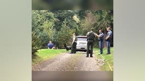 1 arrested after pursuit, crash in Kitsap County
