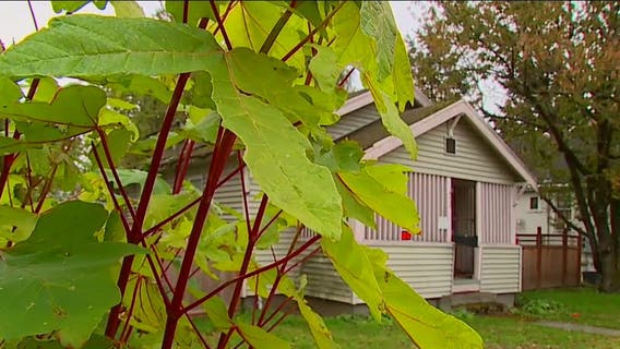 What's on the ballot in south King County? Property ownership amendment