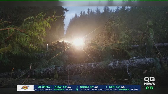 National Weather Service: EF-1 tornado touched down in Grays Harbor County