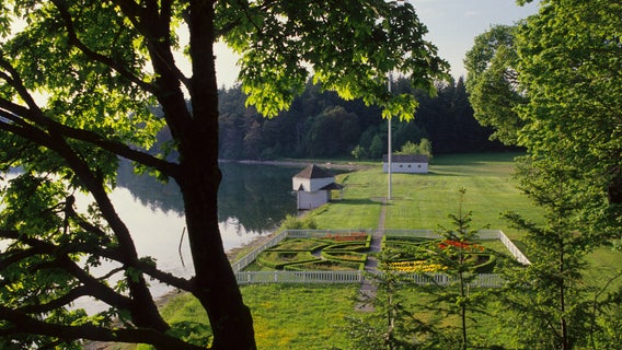 'Aggressive' owls attacking visitors on popular San Juan Island trail