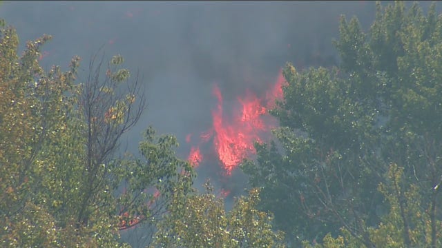 Solving Washington’s fire crisis is on the ballot in Public Lands commissioner race