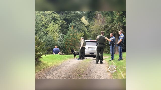 1 arrested after pursuit, crash in Kitsap County