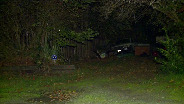 200 animals rescued from West Seattle home in cruelty investigation