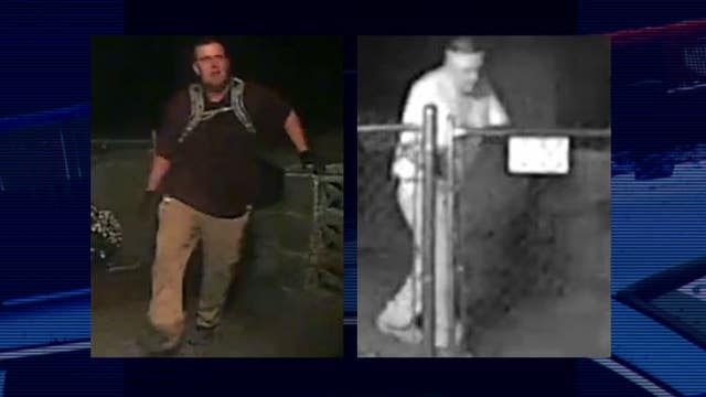 Help ID pair of bold backyard burglars who unscrewed flood light on way in, wiped fingerprints on way out