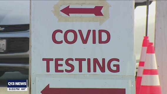 Options for staying safe during Thanksgiving