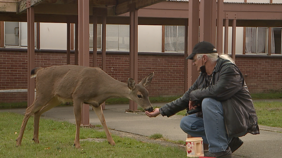 COVID-19 prevents some veterans from seeing family or friends