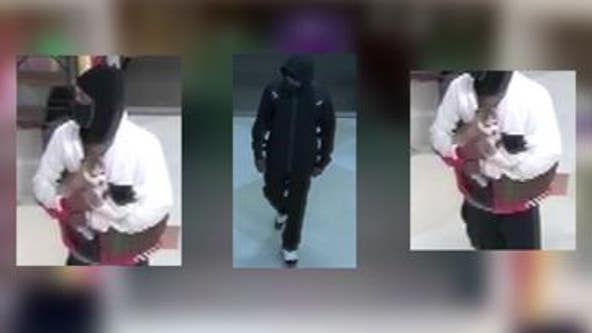 Help ID armed robbery suspects who heartlessly pulled puppy into middle of bold jewelry store heist