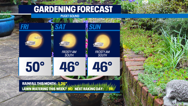 Weekend gardening outlook: breezy but beautiful
