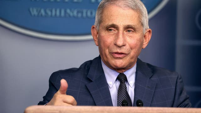 Fauci: US may see 'surge upon surge' of virus in weeks ahead
