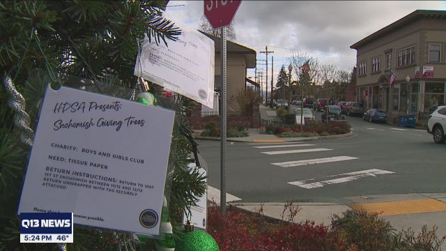 Snohomish Giving Trees supports local nonprofits recovering from COVID-19 challenges