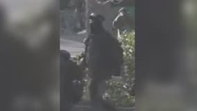 Troopers search for second suspect in Olympia shooting