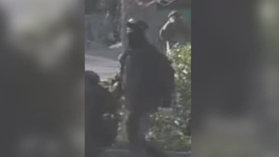 Troopers search for second suspect in Olympia shooting