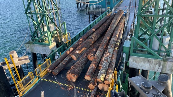Log truck loses load at Edmonds ferry dock; Edmonds/Kingston routes back in service