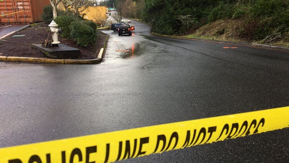 Officer struck by stolen car fleeing police in Bonney Lake, deputies say