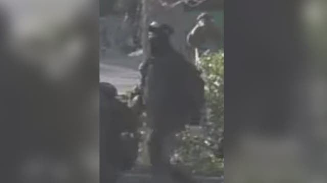 Troopers search for second suspect in Olympia shooting