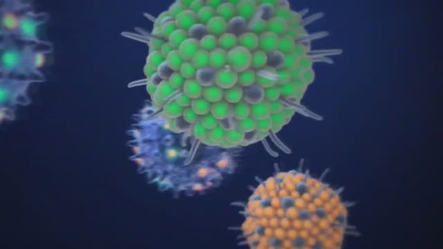 Scientists answer key questions about new, highly infectious COVID-19 strain