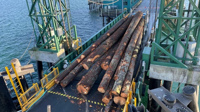 Log truck loses load at Edmonds ferry dock; Edmonds/Kingston routes back in service